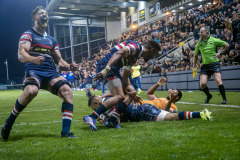 knights-sharks-076